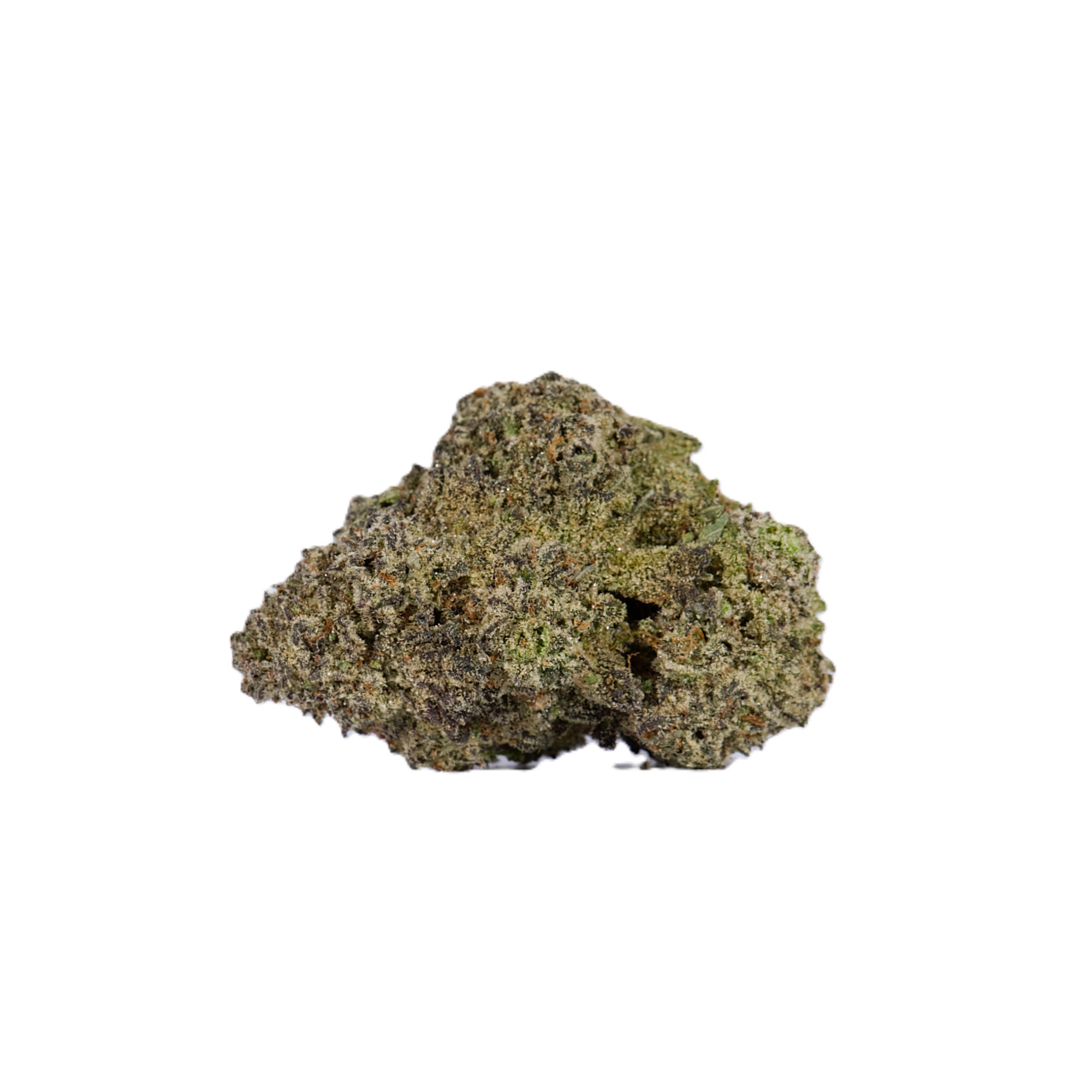 Ghost Dawg (AAA) - Image 3