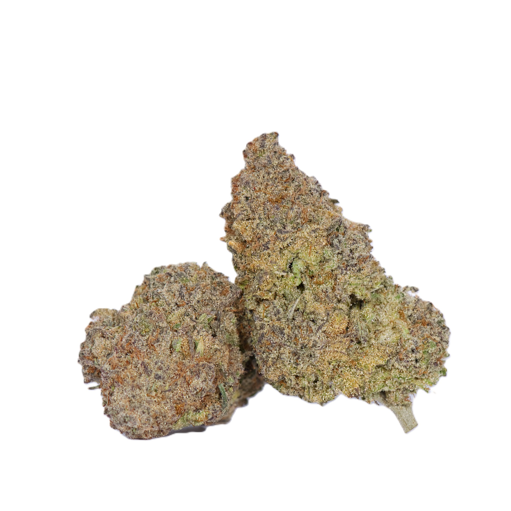 Tahiti Lime (AAAA)