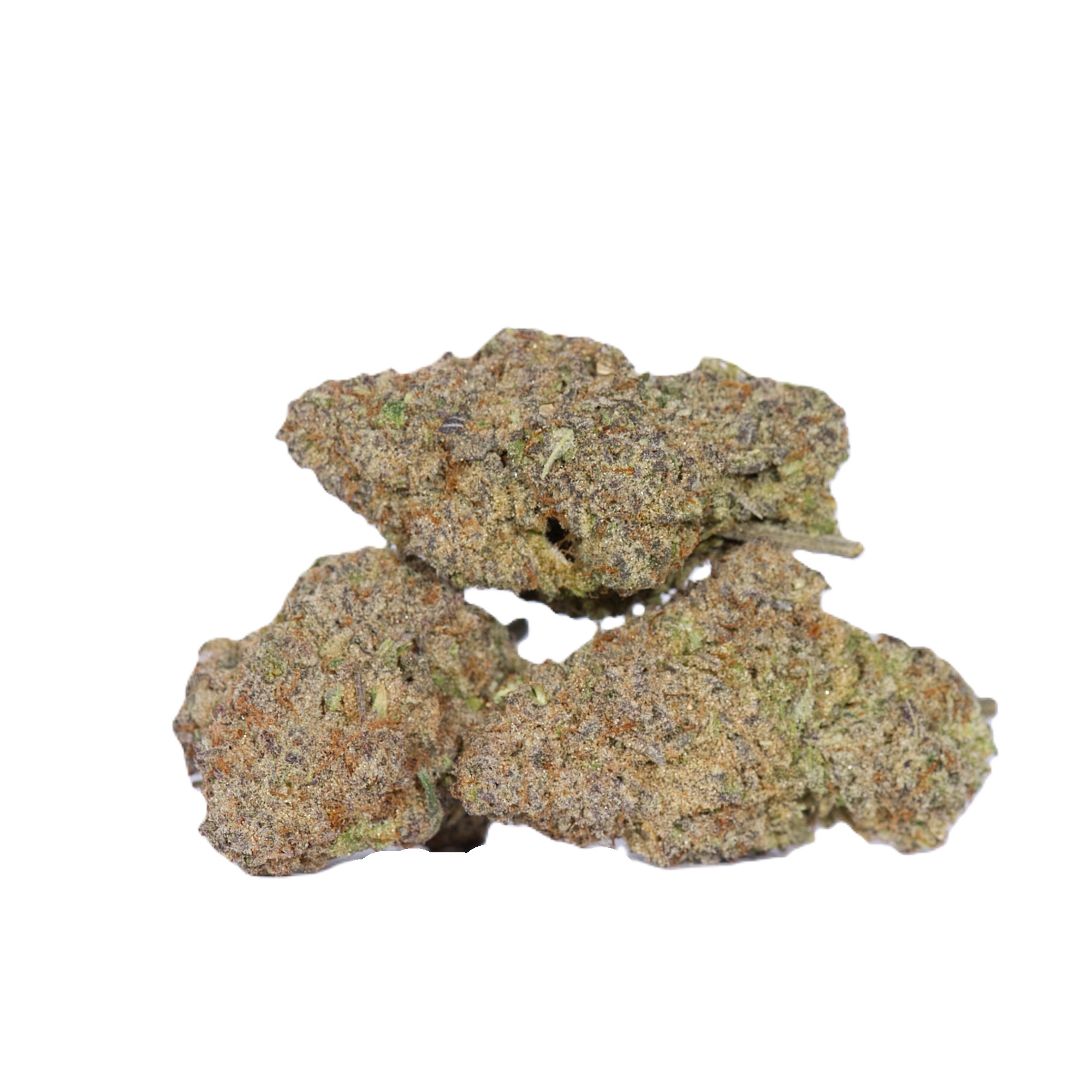 Tahiti Lime (AAAA) - Image 2